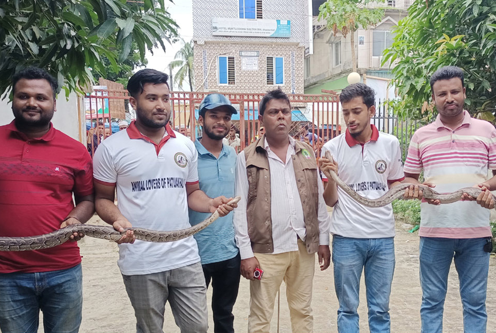 দু’টি অজগর বনে অবমুক্ত