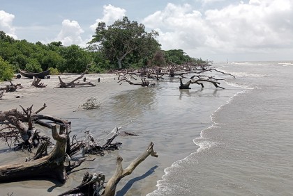 ভাঙছে সৈকত, সৌন্দর্য হারাচ্ছে কুয়াকাটা