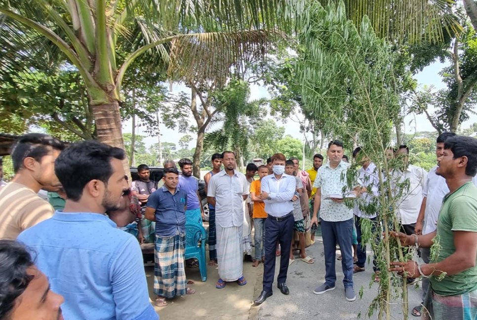 তারাকান্দায় গাঁজা গাছসহ মাদকসেবী আটক 