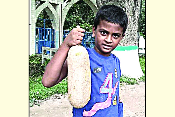 বংশে বাড়ছে কাইজেলিয়া