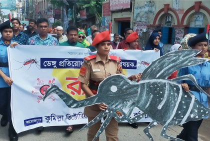 প্রতীকী মশা ও মশারি নিয়ে রাস্তায় শিক্ষার্থীরা