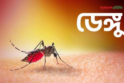 বরিশাল শেবাচিমে আরও ‍দুই ডেঙ্গু রোগীর মৃত্যু