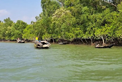 সুন্দরবনে বিষ দিয়ে মাছ শিকার, ৬ জন কারাগারে