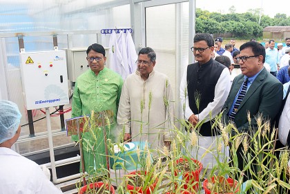 ‘ডিমের দাম অত্যাধিক বাড়িয়ে লাভবান হওয়া কোনোভাবেই মানা যায় না’
