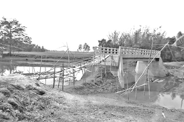 এই ব্রিজের কী প্রয়োজন ছিল