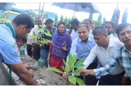 নোয়াখালীতে বৃক্ষরোপণ কার্যক্রম উদ্বোধন