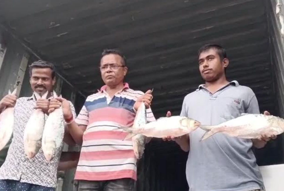 প্রথম পর্যায়ে ৪৫ মেট্রিক টন পদ্মার ইলিশ ঢুকলো ভারতে 