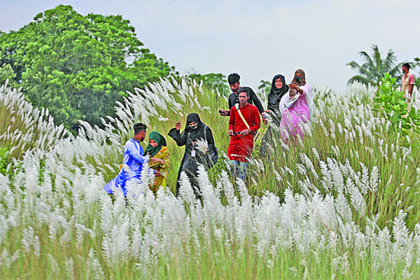 অপরূপ সৌন্দর্য