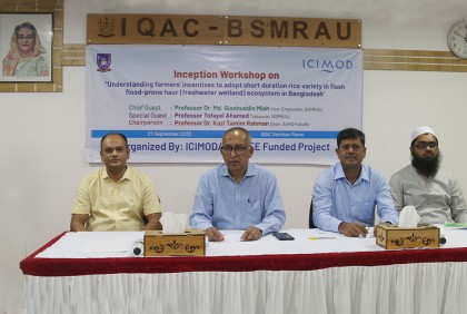 বশেমুরকৃবিতে কর্মশালা অনুষ্ঠিত
