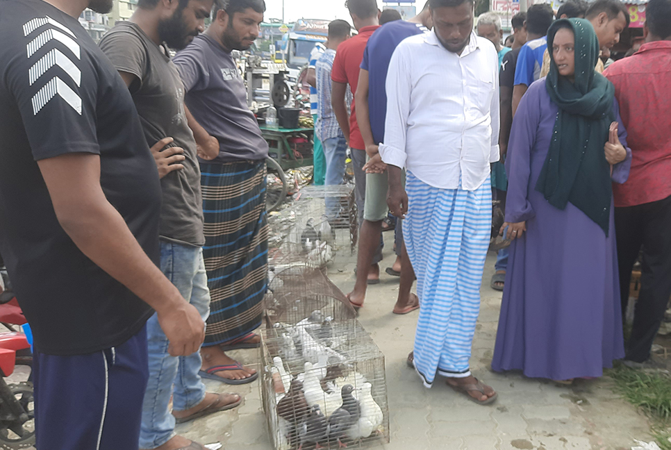 লাখ লাখ টাকার কবুতর বেচাকেনা হয় যে হাটে