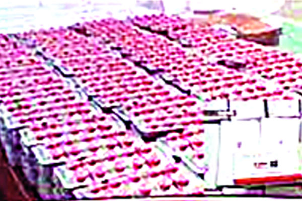 রোগী সেজে ভারত গিয়ে মাদক আনত ওরা
