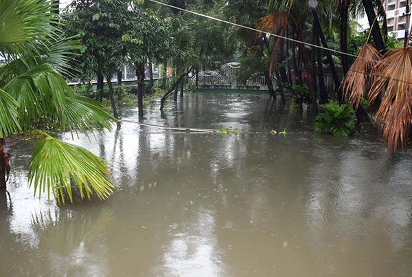 বাড়ছে তিস্তাসহ নদ-নদীর পানি