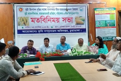 চুয়াডাঙ্গায় ভুট্টা উৎপাদনে মতবিনিময় সভা