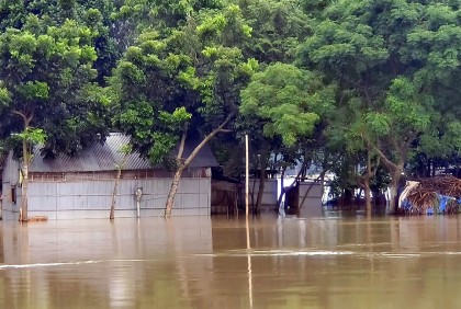পুনর্ভবা নদীর পানি বিপৎসীমার ওপর দিয়ে প্রবাহিত