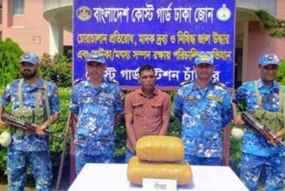 চাঁদপুরে গাঁজাসহ মাদক কারবারি আটক