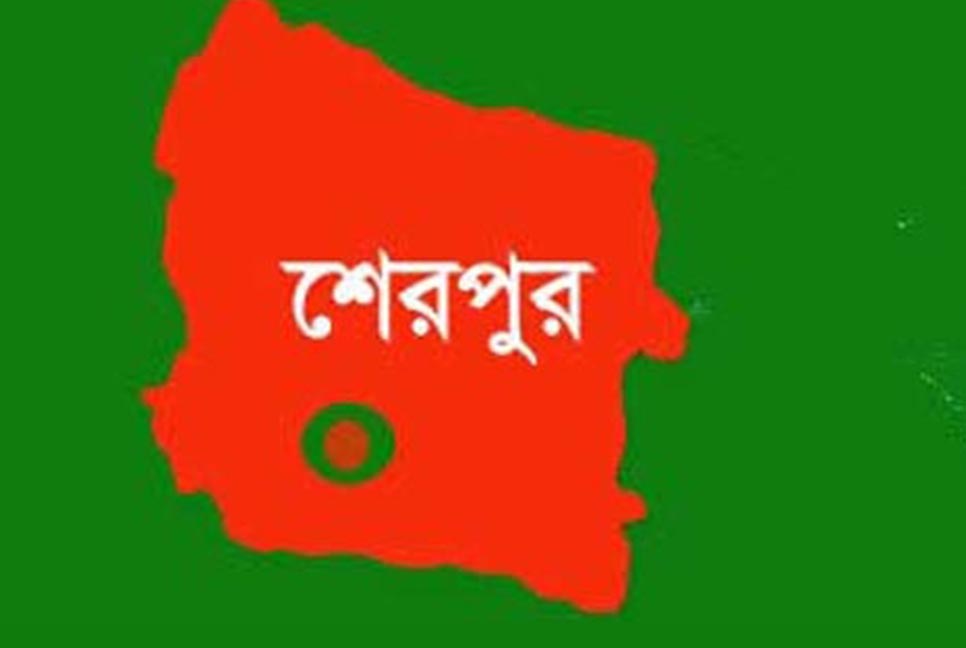 জেলা বিএনপির সভাপতিসহ ১৭০ জনের নামে মামলা, গ্রেফতার ৯