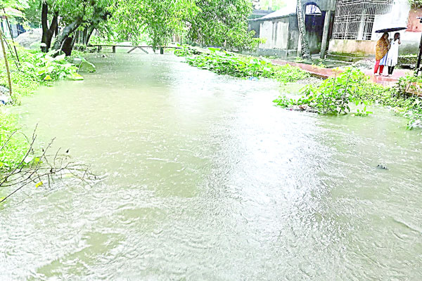 ধারণক্ষমতা কমেছে শ্যামাসুন্দরীর