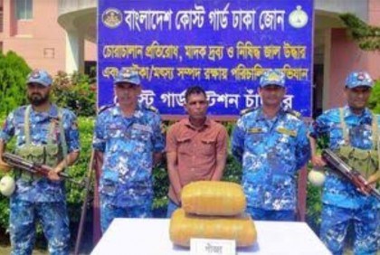 চাঁদপুরে গাঁজাসহ মাদক কারবারি আটক
