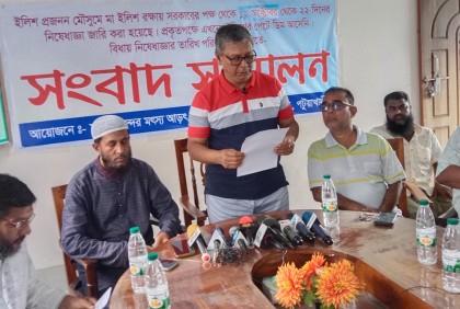 ইলিশের পেটে এখনো ডিম আসেনি, নিষেধাজ্ঞা পেছানোর দাবি 