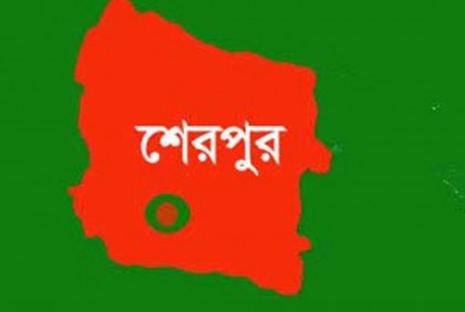 জেলা বিএনপির সভাপতিসহ ১৭০ জনের নামে মামলা, গ্রেফতার ৯