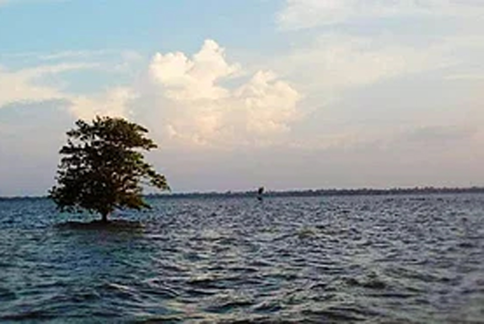 নাটোরে শিক্ষা সফরে গিয়ে নৌদুর্ঘটনায় শিক্ষার্থীর মৃত্যু

