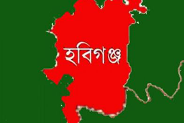 হবিগঞ্জে বিএনপির ১২ নেতাকর্মী কারাগারে

