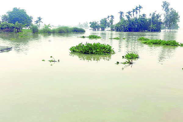 পানিতে টইটম্বুর তিস্তা, নিম্নাঞ্চল প্লাবিত