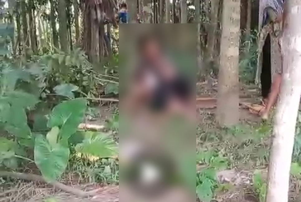 মোরেলগঞ্জে গাছে বেঁধে গৃহবধূকে নির্যাতন, ভিডিও ভাইরাল