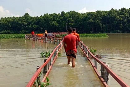 আশুড়ার বিলে দৃষ্টিনন্দন কাঠের সেতু পানির নিচে