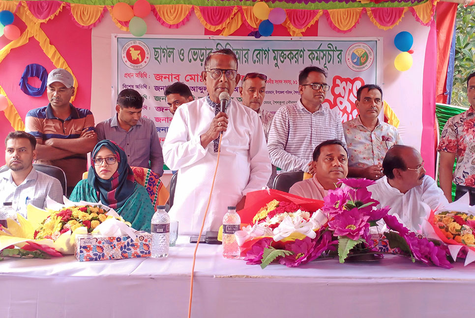 শৈলকুপায় পিপিআর রোগ মুক্তকরণ টিকাদান কর্মসূচির উদ্বোধন