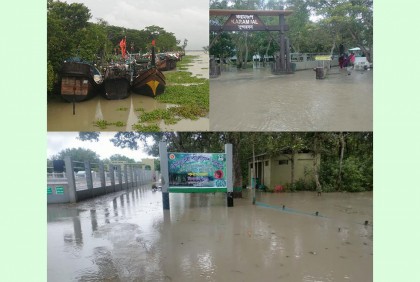 উত্তাল বঙ্গোপসাগর, ইলিশ ধরা বন্ধ রেখে নিরাপদ আশ্রয়ে হাজারও ট্রলার