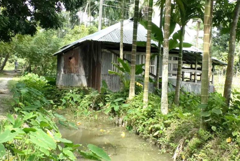 খাল খনন না করায় জলাবদ্ধতায় ফসল নষ্ট 