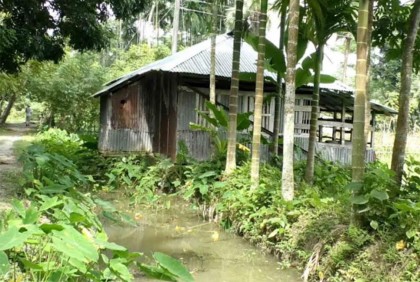 খাল খনন না করায় জলাবদ্ধতায় ফসল নষ্ট 