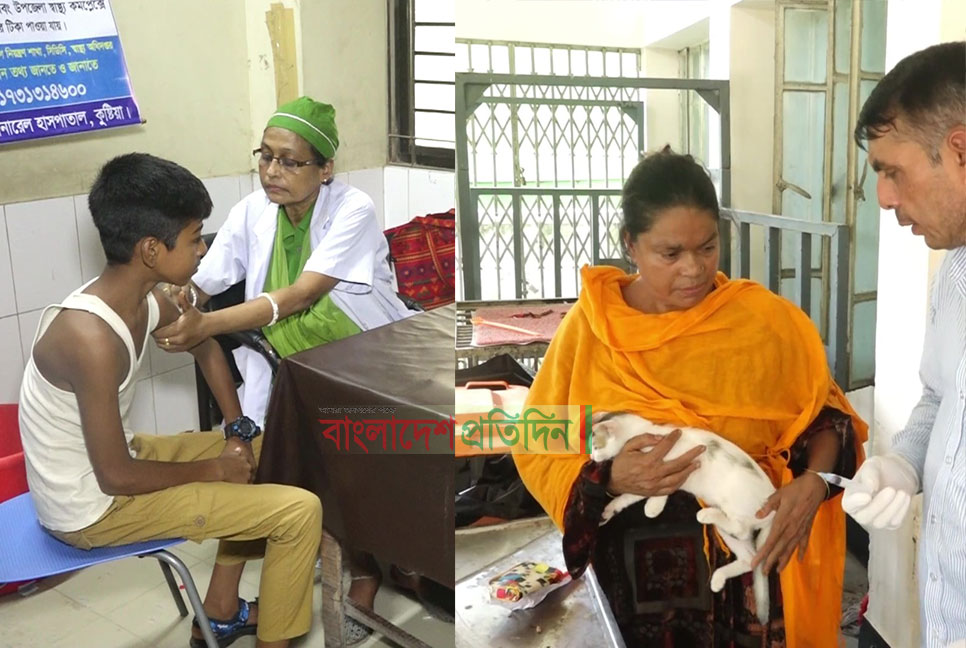 কুষ্টিয়ায় বিড়ালের কামড়ে জলাতঙ্ক টিকা নেওয়ার হার বেশি 