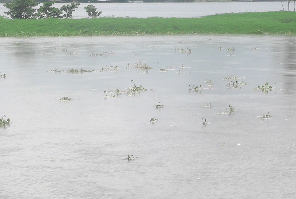 কুড়িগ্রামে তিস্তা নদীর পানি বৃদ্ধি