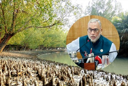 সুন্দরবনে বাঘ-কুমিরের আক্রমণে মারা গেলে ৩ লাখ টাকা ক্ষতিপূরণ