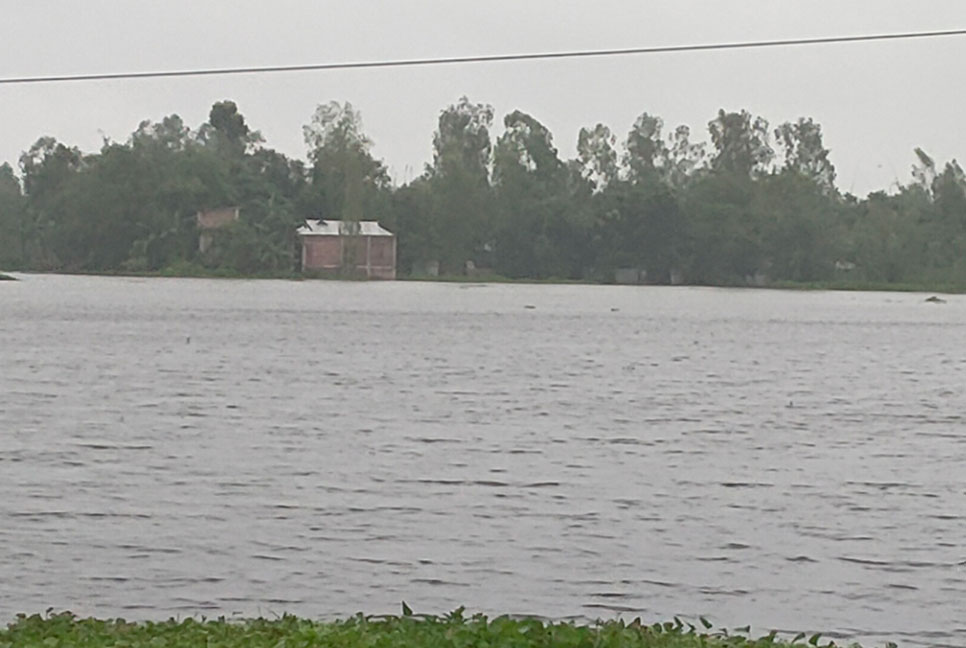 তিস্তার পানিতে ফসলের ক্ষতি 

