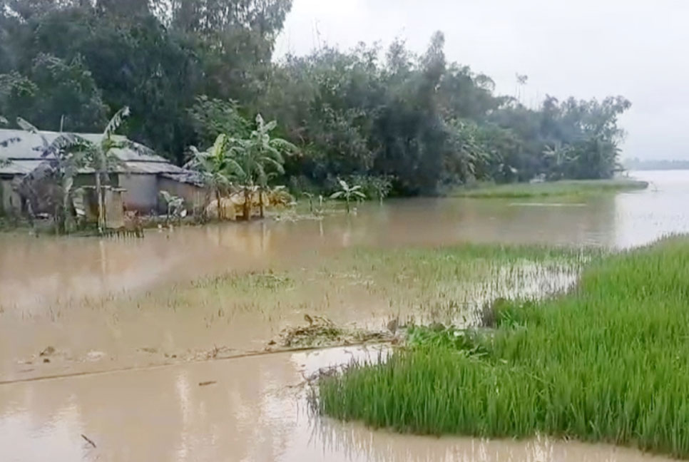 কুড়িগ্রামে তিস্তার পানি বৃদ্ধিতে নিম্নাঞ্চল প্লাবিত
