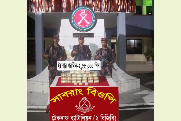 টেকনাফে বিজিবির অভিযানে ২ লাখ ৫৫ হাজার ইয়াবা জব্দ 