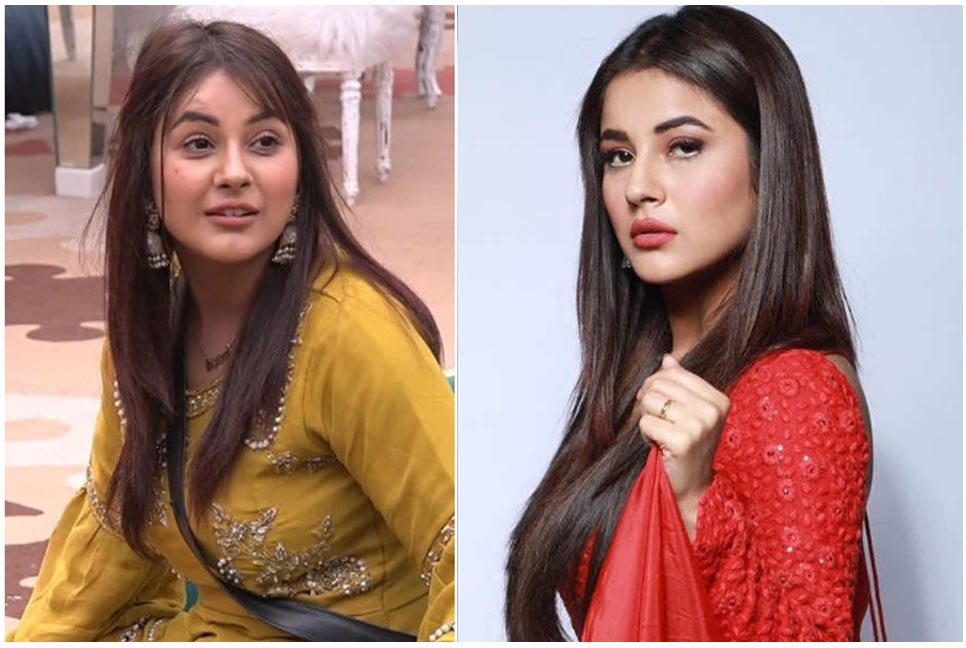 বলিউডে কাজ পেতে কী মাশুল গুনতে হয়, জানালেন শেহনাজ