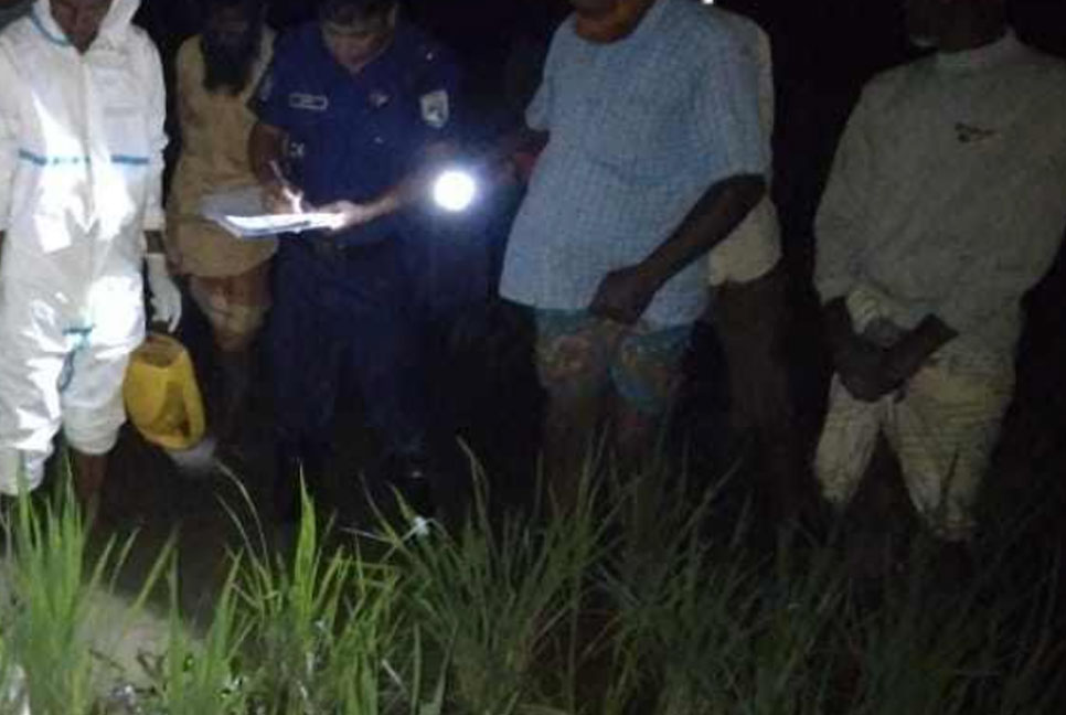 তিস্তার চরে ভেসে এলো আরও দুই মরদেহ