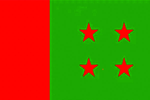 মনোনয়ন পাচ্ছেন না ১২ এমপি
