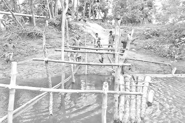 স্বেচ্ছাশ্রমে বাঁশের সাঁকো