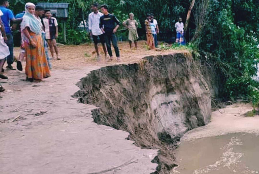 উল্লাপাড়া ফুলজোর নদী ভাঙনে বসতভিটাসহ ফসলি জমি বিলীন