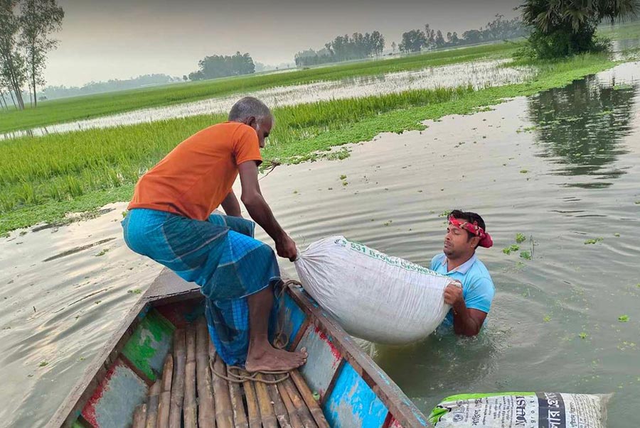 বগুড়ায় পানিতে ডুবছে কৃষকের স্বপ্ন