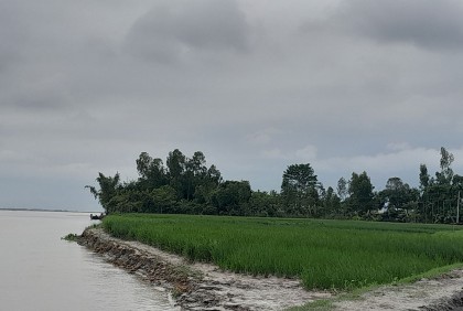 তিস্তায় বেড়েছে ভাঙন, হতাশায় নদীপারের মানুষ

