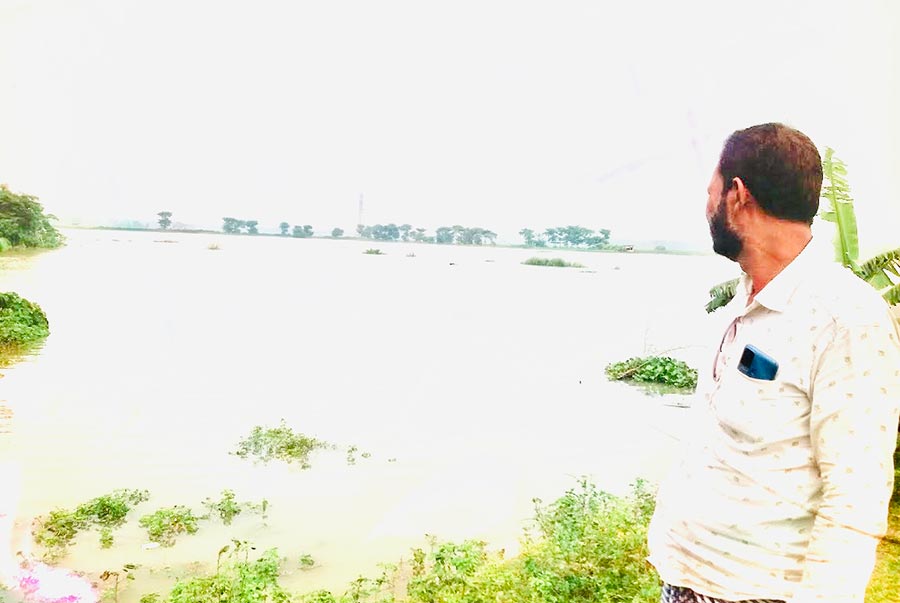ভালুকায় পথে বসে গেছেন শতাধিক মৎস্য খামারি