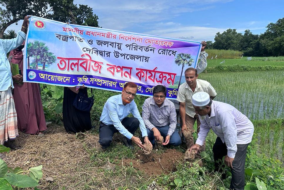 বজ্রপাতের ঝুঁকি রোধে ৮ হাজার তাল গাছ
