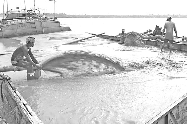 পদ্মায় অবৈধ বালু তোলার ধুম