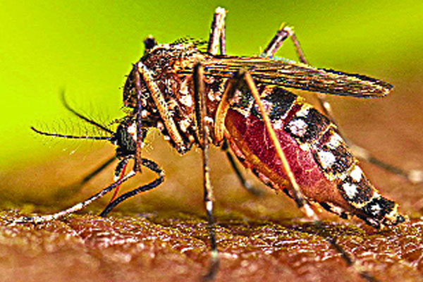 এক সপ্তাহে রেকর্ড রোগী শনাক্ত